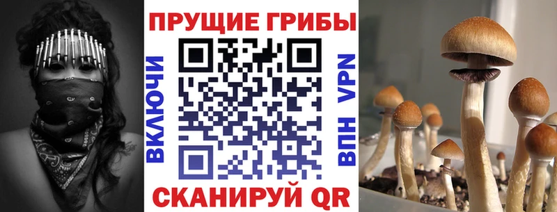 Псилоцибиновые грибы GOLDEN TEACHER  закладки  Когалым 